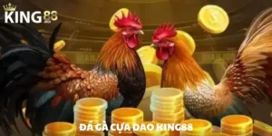 đá gà cựa dao ảnh đại diện